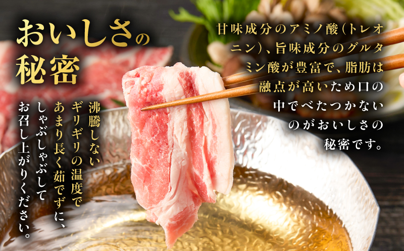 昔ながらの黒豚しゃぶしゃぶセット1.2kg＜ロース、肩ロース、バラ、モモ＞　K125-006