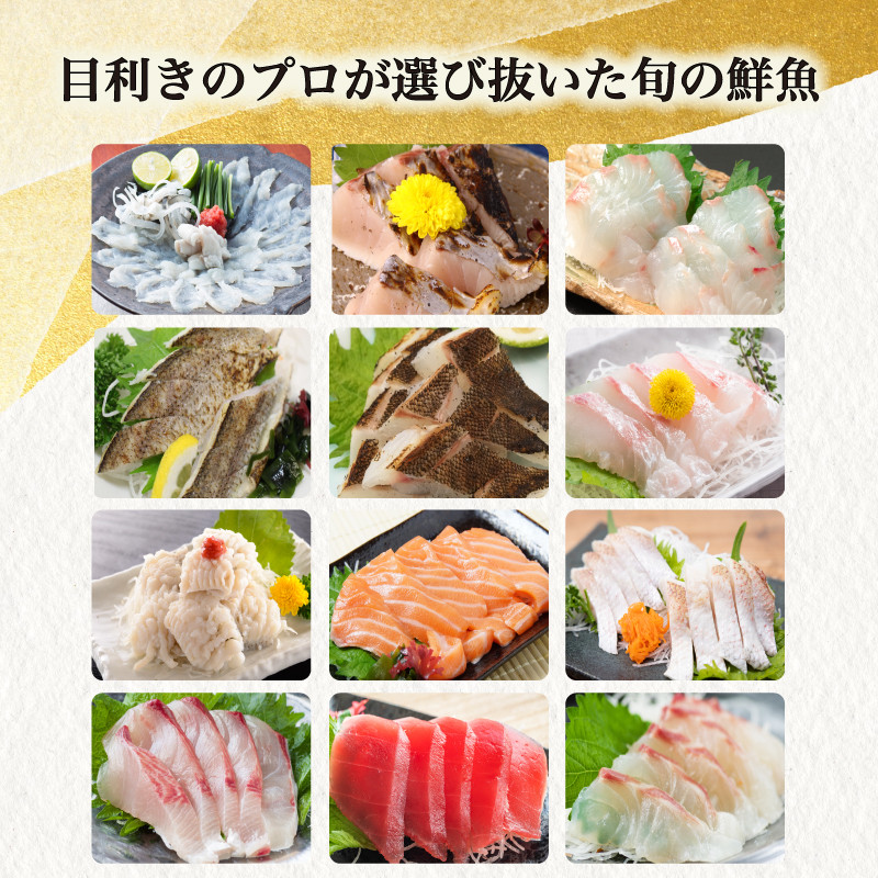 刺身 定期便 【 年6回 】 隔月定期便 豪華刺身旬魚セット ( 鮮魚 魚介 海鮮 魚定期便 人気 ランキング お手軽 お刺し身 お刺身 刺身定期便 刺し身 鯛 タイ 鱧 鮭 サーモン 鮪 マグロ ふ