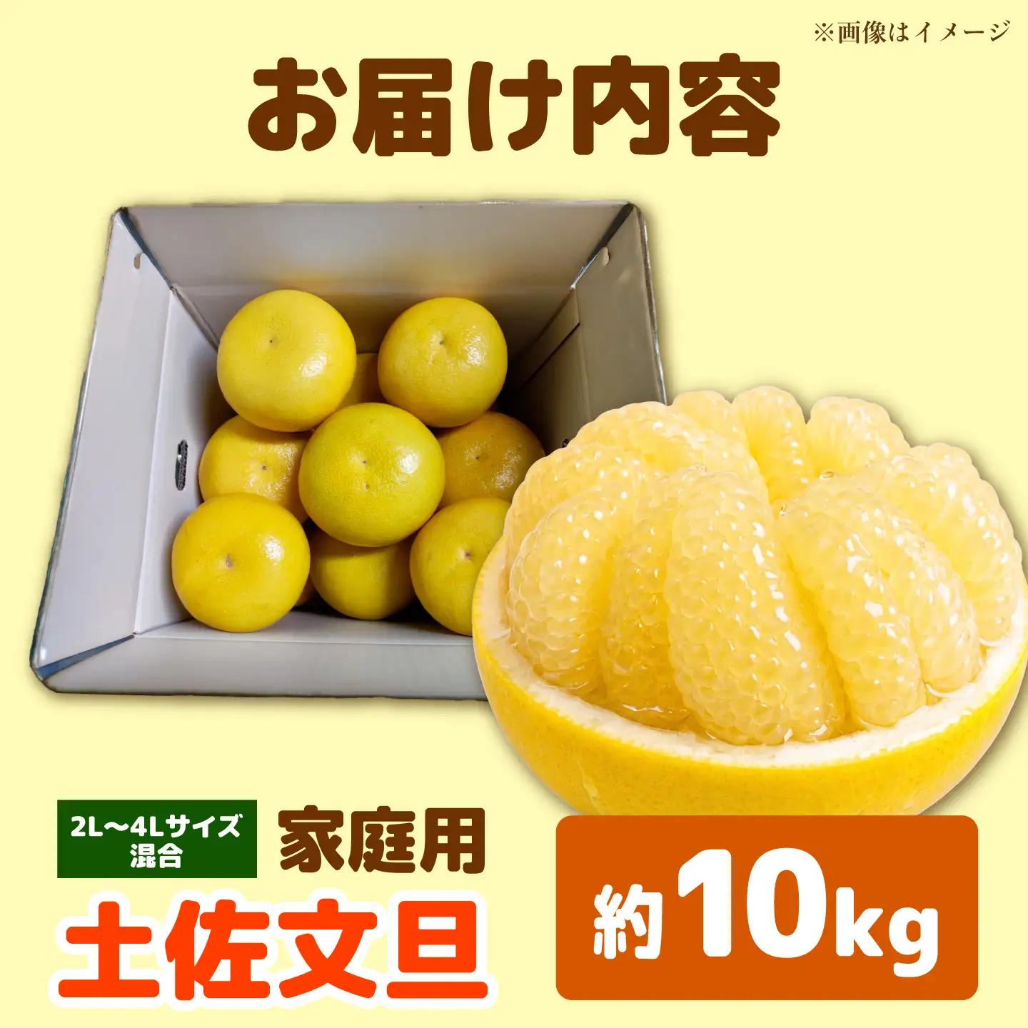 【先行予約】土佐文旦 10kg 家庭用 大玉 文旦[BQAJ001]