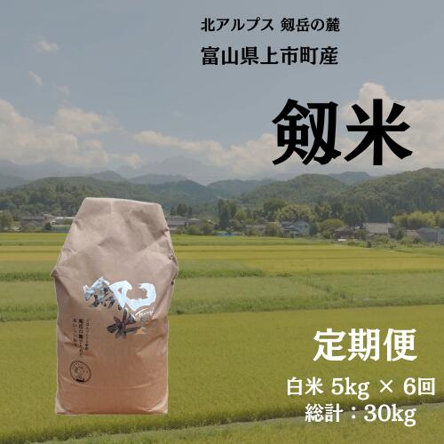 【ふるさと納税】【毎月1回お届け】【定期便】【令和7年産】上市町産コシヒカリ「剱米」（白米）5kg x 6回 計30kg　 [ソムリエH 富山県 上市町 32280254-r6-03】 米 6ヶ月 6回定期便 定期購入 お米 コメ ご飯 ごはん 白米ご飯 白米ごはん こしひかり 富山県産