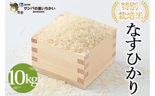 市貝町産 特別栽培米〈なすひかり〉10kg ｜ 国産 栃木県産米 お米 特別栽培米 精米 白米 栃木米 とちぎ米 ※離島への配送不可 ※2025年9月中旬頃より順次発送予定