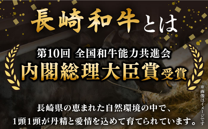 【希少部位】長崎和牛 ヒレ ステーキ ステーキ 和牛 ヒレステーキ ヒレ 厚切り 牛肉 ヒレ ステーキ ヒレ肉