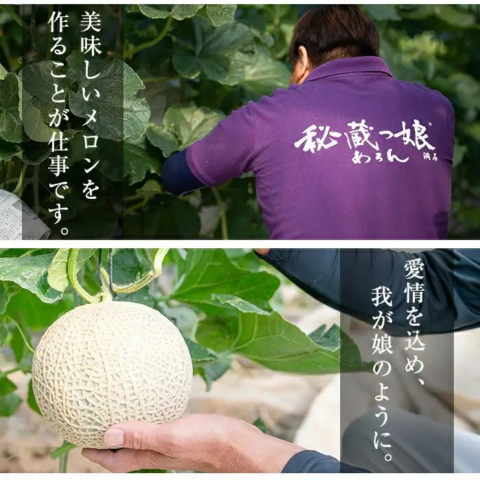 極上メロン「秘蔵っ娘」白玉(青肉)2個 メロン マスクメロン 果物 くだもの デザート 青肉 b5-037