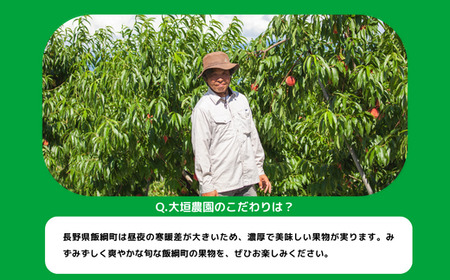 りんご サンふじ 訳あり 10kg 大垣農園 沖縄県への配送不可 2025年11月下旬頃から2025年12月下旬頃まで順次発送予定 令和7年度収穫分 傷 不揃い リンゴ 林檎 果物 フルーツ 信州 長