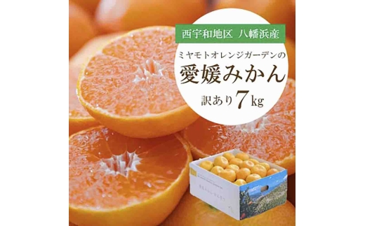愛媛みかん 7kg＜訳あり＞西宇和地区八幡浜産 ＜C25-132＞_みかん ミカン 蜜柑 訳あり 愛媛みかん 7kg 果物 くだもの フルーツ 甘い おいしい かんきつ 柑橘 柑橘類 国産 愛媛 愛媛県 八幡浜市 産直 産地直送 送料無料【1166251】 YWTAP075