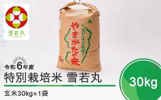 令和7年8月上旬発送 雪若丸30㎏ 玄米 令和6年産 ja-yugxb30-8f