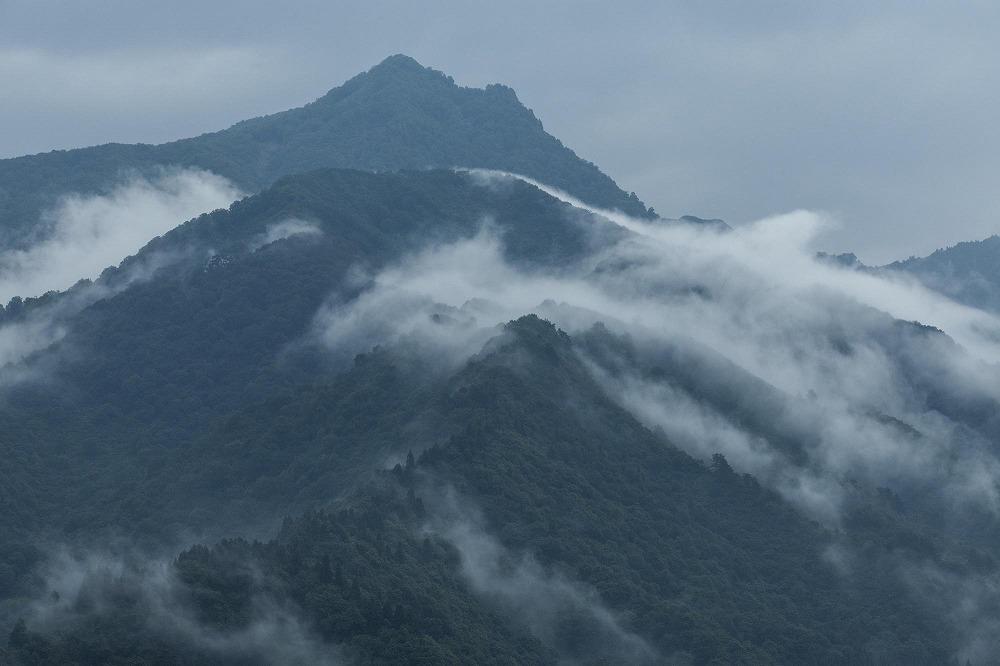 令和7年産「貝瀬農園米」農薬5割減栽培　南魚沼塩沢産コシヒカリ　無洗米10kg（5kg×2）