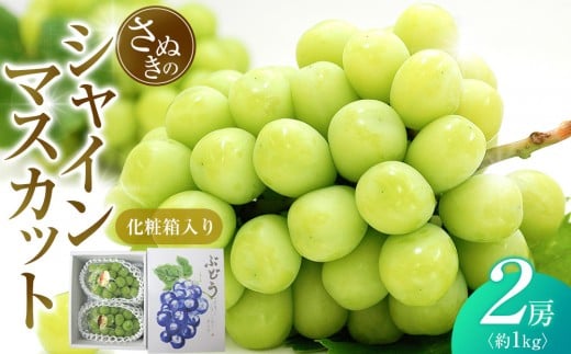 
            【7月下旬頃～発送】シャインマスカット 約1kg (2房) 化粧箱入り
          