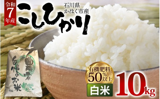 【令和7年産】コシヒカリ 白米 10kg