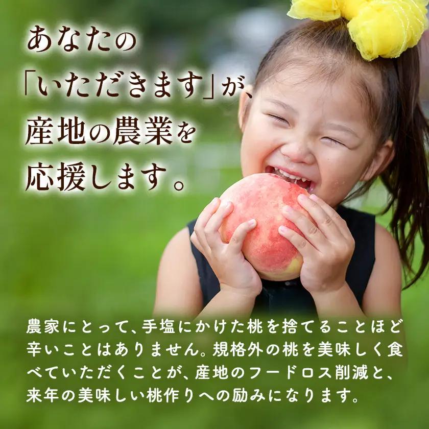 ＼2026年発送／ 桃 訳あり お助け桃 約1.2kg