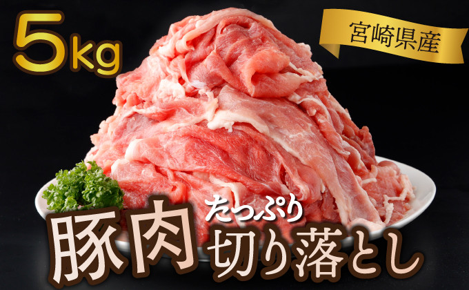 
KU481 宮崎県産 豚肉切り落とし 250g×20パック 合計5kg
