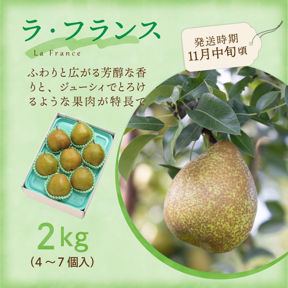【先行予約】 令和8年産 旬のフルーツ 4回 定期便 さくらんぼ 佐藤錦 ぶどう デラウェア りんご 秋陽 西洋梨 ラ・フランス