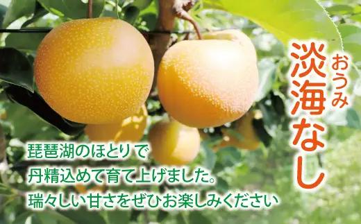 【先行予約】【数量限定】淡海なし　香麗　3kg箱入り（サイズ：2L～7L　5～10個入り）【K126W】スイーツ 果物