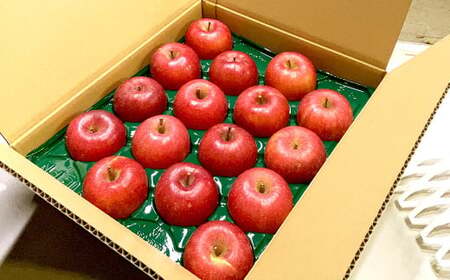 山形県産 りんご ふじ 約3kg 秀品 リンゴ 林檎 果物 くだもの フルーツ 山形 【2025年12月上旬～12月下旬発送予定】