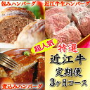 【ふるさと納税】【牛肉】令和6年12月31日までの期間限定みんな大好き　ハンバーグ定期便【牛】【ハンバーグ】【国産】