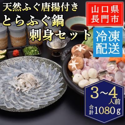 ふるさと納税 長門市 天然ふぐ唐揚付き　とらふぐ鍋・とらふぐ刺身セット3-4人前/冷凍