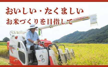 コシヒカリ 5㎏ 米 令和7年産 6ヵ月 ブランド 定期便 コシヒカリ