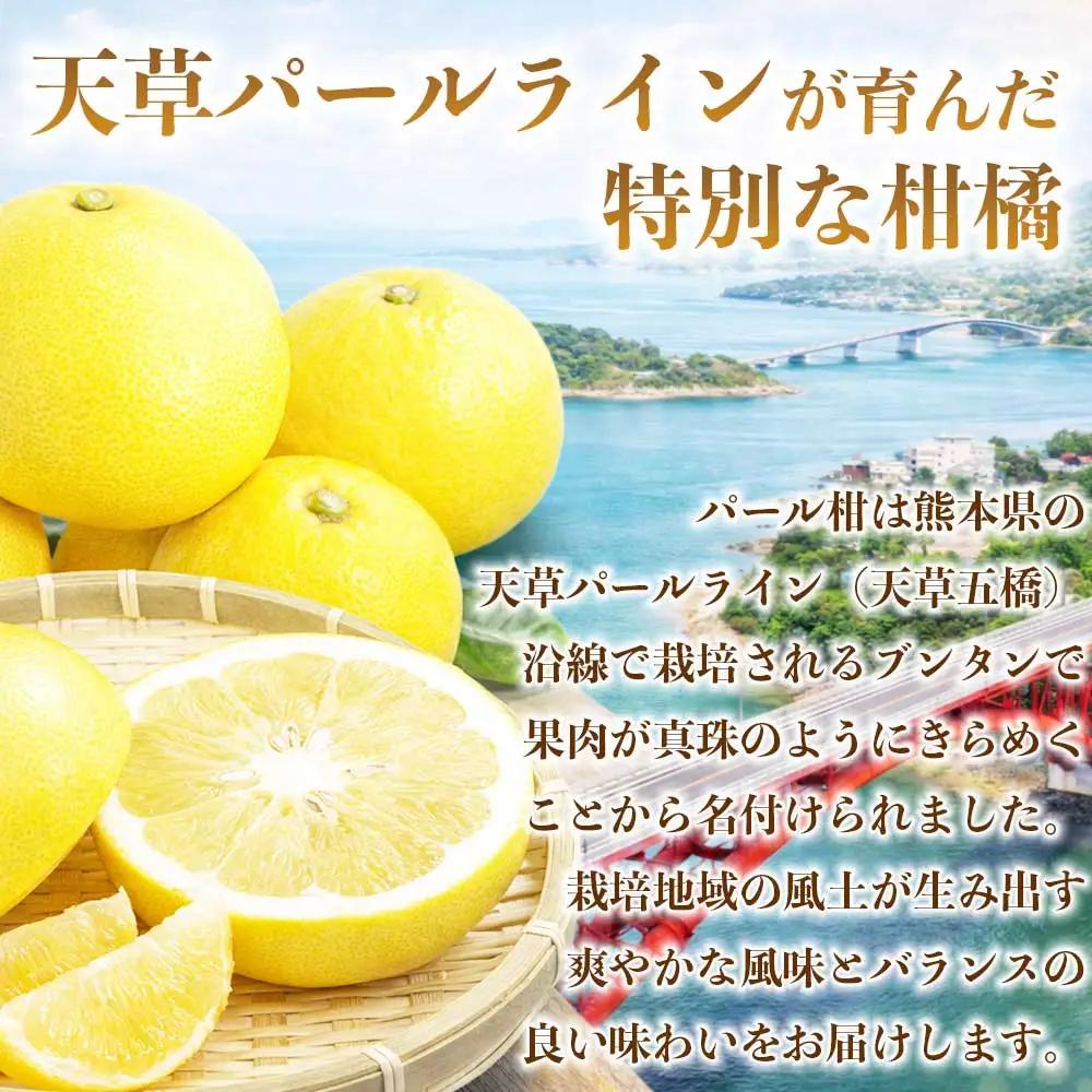 先行予約 パール柑 文旦 秀品  約10kg（12～36玉 ）【2027年2月上旬～2027年3月下旬発送予定】