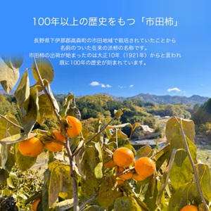 南信州産 GI登録商品 市田柿 約1kg 袋詰め 〈年内発送〉｜長野県 飯田市