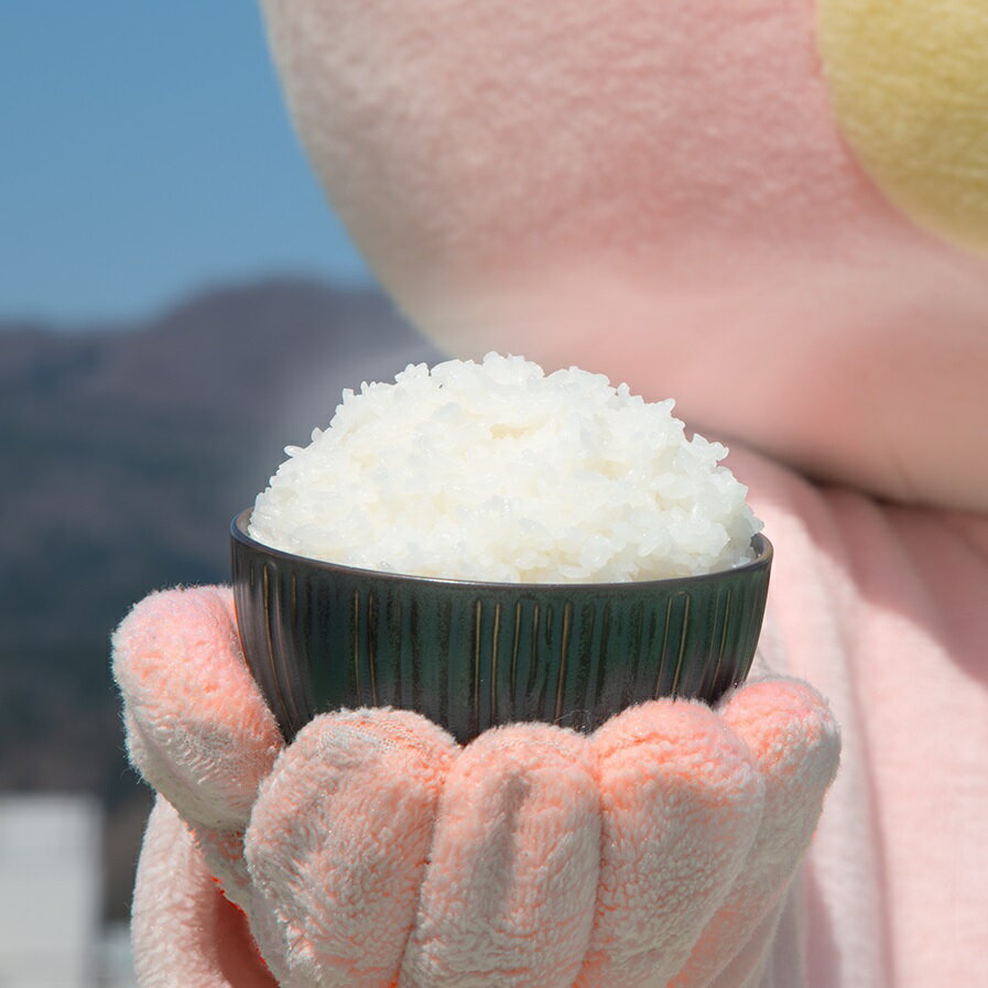 【ふるさと納税】 新米 令和7年産 10kg （5kg×2種類） つや姫 雪若丸 食べ比べセット 山形県 朝日町産 2025年産 精米 お米 こめ コメ 銘柄米 送料無料 農家直送 食べ比べ