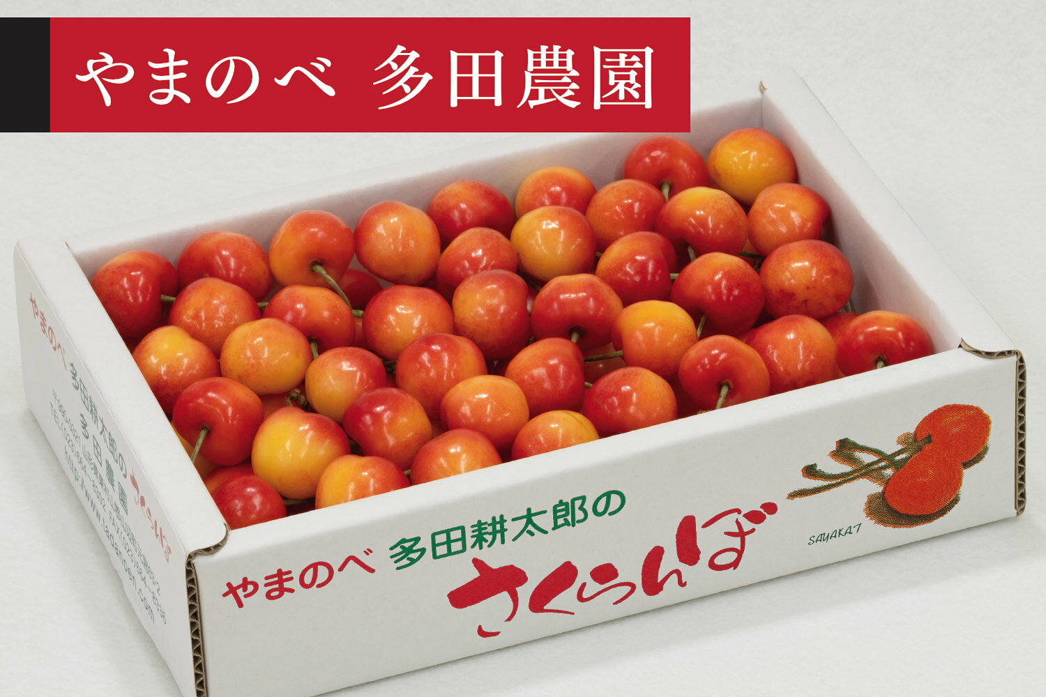 【ふるさと納税】《先行予約》2027年 山形県産 レーニア バラ詰め 約700g やまのべ多田耕太郎のさくらんぼ サクランボ tn-rnx2b700