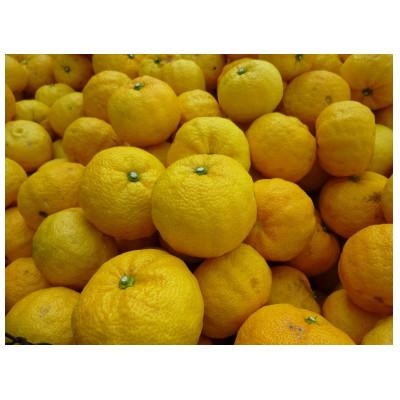ふるさと納税 安芸市 ゆずの粋・ゆずの香味セット |  | 02