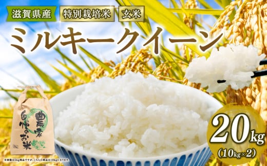 特別栽培米 ミルキークイーン 米 20kg 玄米 2025年産 滋賀県 竜王町 令和7年産 国産 農家直送 みるきーくいーん R7 10kg × 2袋 国産 農家直送 環境こだわり お試し用 お米 こめ おこめ 農家直送 産地直送 送料無料