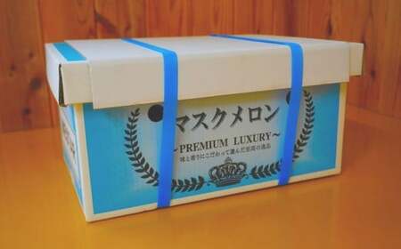 【生産者直送】☆夏作☆ マスクメロン 2玉 合計約3.2kg以上 【2026年7月上旬発送開始】 フルーツ くだもの 果物 メロン めろん 熊本県産