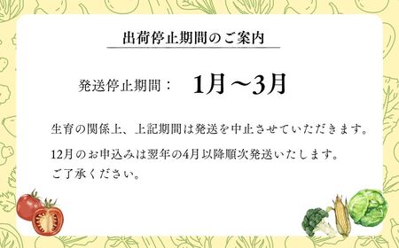季節のオーガニック農産物（有機認証農産物）5種～ | 野菜 オーガニック