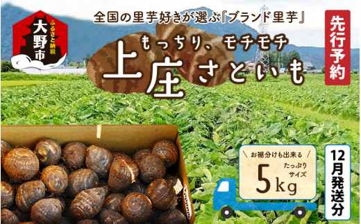 【先行予約】【12月発送分】満天☆上庄産さといも 5kg 日本一の味をめざし、有機肥料配合、減農薬栽培の「独自栽培」で作る里芋