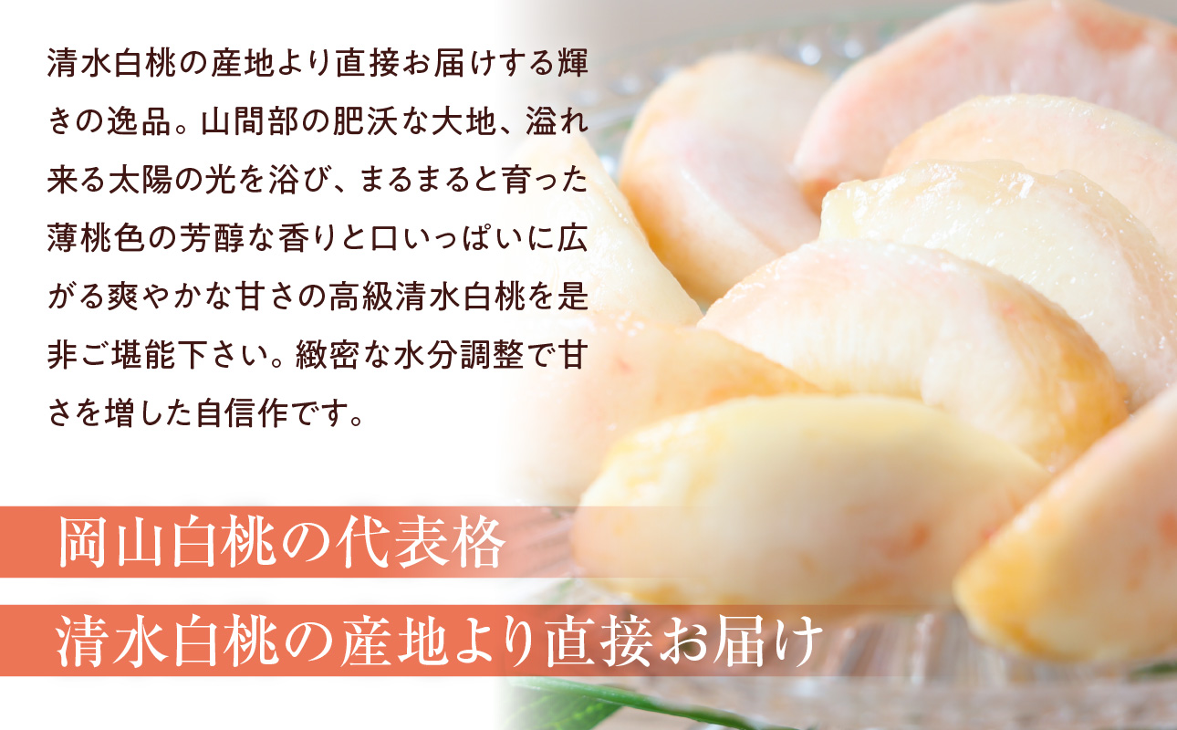 【2025年発送】清水白桃　5玉入り（令和７年７月下旬～８月初旬発送予定）【 清水白桃 晴れの国おかやま 白桃 桃 岡山白桃 】