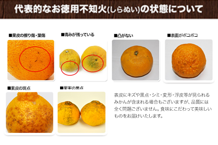 『清晃アグリ』のご家庭用不知火(しらぬい)約4kg(L-4Lサイズ)10玉-16玉前後《3月上旬-3月末頃出荷》 予約受付中 フルーツ 旬★デコポンと同品種★熊本県玉名郡玉東町