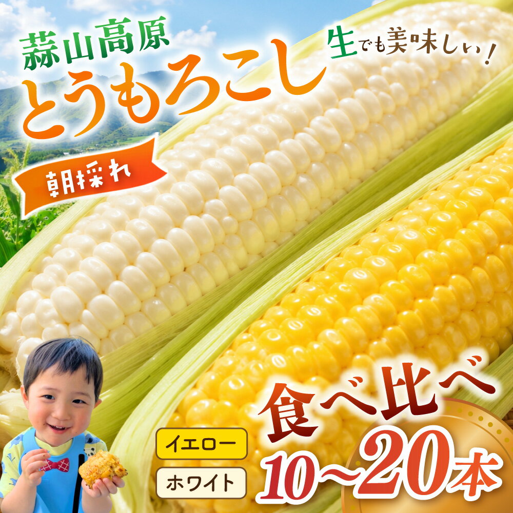 【ふるさと納税】 蒜山高原 とうもろこし ミックス 10本 20本 （ホワイトコーン＆イエローコーン） / 甘い 岡山県 真庭市 高糖度 ギフト 朝採れ 新鮮 2026年先行予約 7月 8月 トウモロコシ 産地直送 数量限定 【配送不可地域：北海道／沖縄県／離島】【corn3】