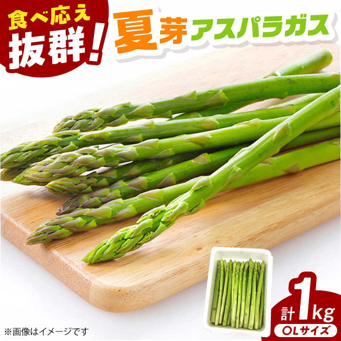 【ふるさと納税】夏芽 アスパラガス 計1kg（〇Lサイズ） / アスパラ アスパラガス 野菜 新鮮 / 佐賀県 / さが風土館季楽 [41AABE104]