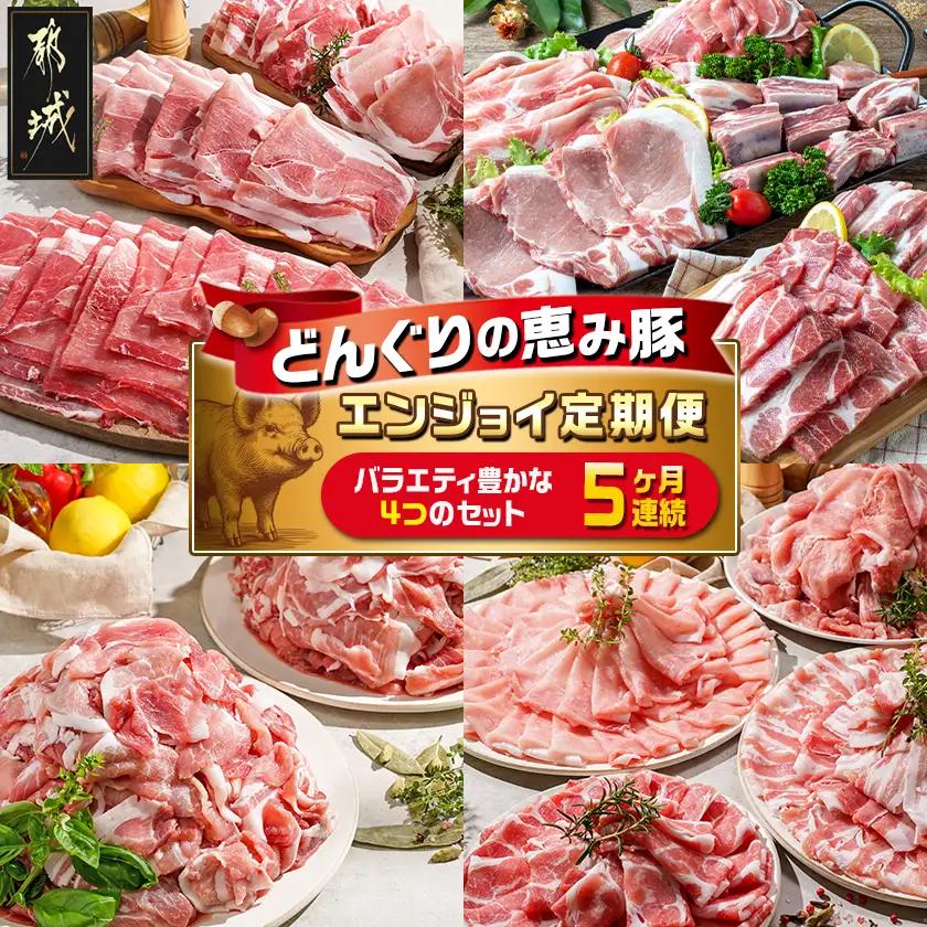 豚肉「どんぐりの恵み豚」エンジョイ定期便(5ヶ月) 豚肉〔T40(5)-1102〕