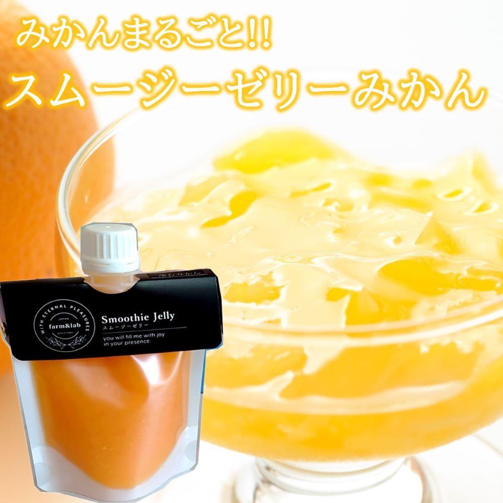 【ふるさと納税】みかんを内皮まるごと！「スムージーゼリーみかん」150g×6 | 和歌山 蜜柑 柑橘 果物 くだもの フルーツ スムージー 飲料 ギフト みかん オレンジスムージー 取り寄せ 産地直送 和歌山県 高野町