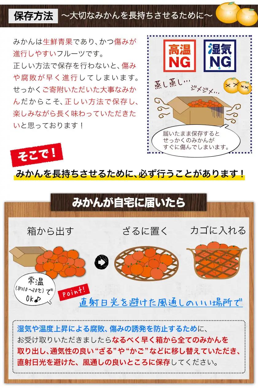 みかん 和歌山みかん 約10kg