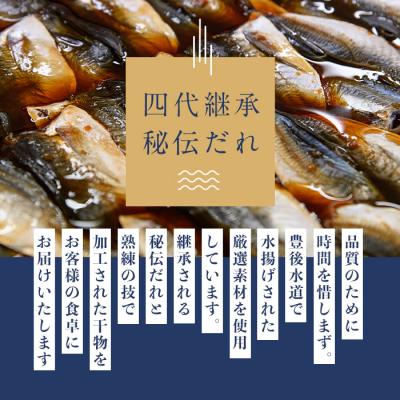 ふるさと納税 佐伯市 四代続く秘伝のたれ みりん干しセット (合計5種・48枚以上×隔月6回) |  | 01