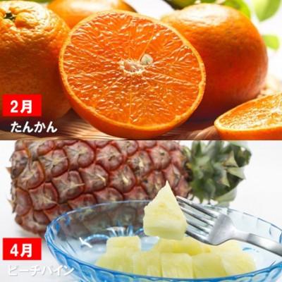 ふるさと納税 名護市 【発送月固定定期便】一番美味しい時期にお届け!旬の南国フルーツ定期便全6回 |  | 01