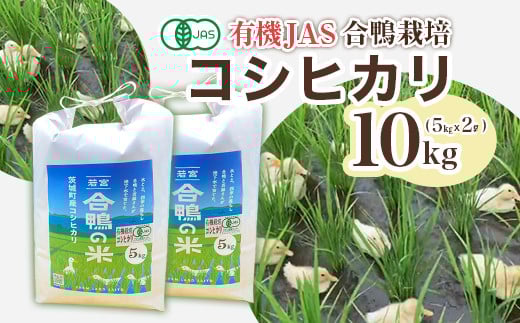 
            【令和7年産】コシヒカリ 10kg ファームランドさいとう 571
          