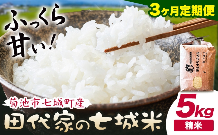 
                  【3ヶ月定期便】令和7年産 菊池市七城町産 田代家の七城米 七城ヒノヒカリ 白米 5kg 田代こめや《お申込み翌月から出荷》熊本県 菊池市 米 お米 精米 ひのひかり 菊池市産 熊本県産 九州産 送料無料
                