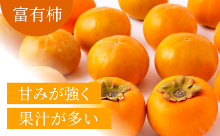 【先行予約】有機配合肥料使用 富有柿 16玉から20玉 2026年11月上旬から11月下旬 出荷予定【春光園】 柿 かき 甘柿 甘い 果物 フルーツ