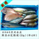 【ふるさと納税】御坊産鮮魚セット 5kg 【定期便】(年4回お届け)【配送不可地域】沖縄・北海道・東北・九州 発送時期が選べる