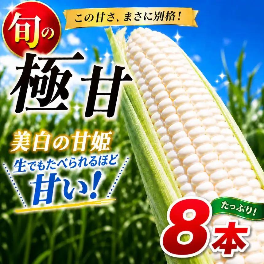 【ふるなびWEEK対象】【先行予約】トウモロコシ王子の「美白の甘姫」8本 