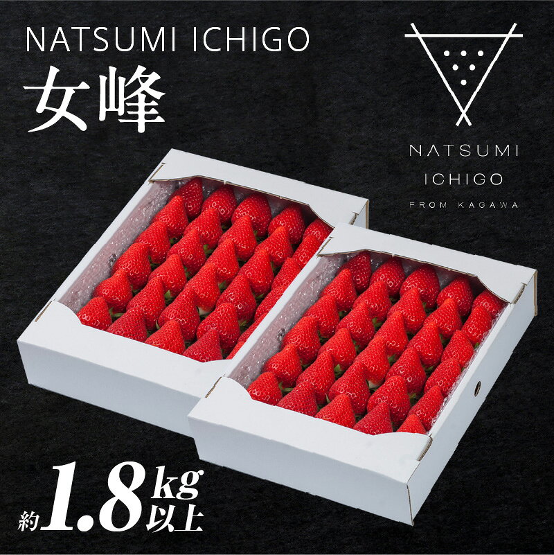 【ふるさと納税】先行予約 NATSUMI ICHIGO 女峰 約1.8kg以上 (2027年1月~6月配送) いちご ストロベリー 女峰 1kg以上 苺 冷蔵 フルーツ 旬 果物 香川県 デザート 青果物 贈答 プレゼント 贈り物 季節限定 ギフト スイーツ おすすめ 人気 果物 お裾分け 三木町 送料無料