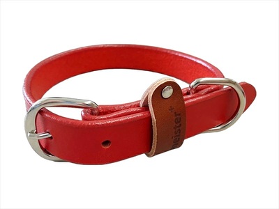 【 ペット 用 】 首輪 中型犬 Lサイズ レッド 34-42cm ペット