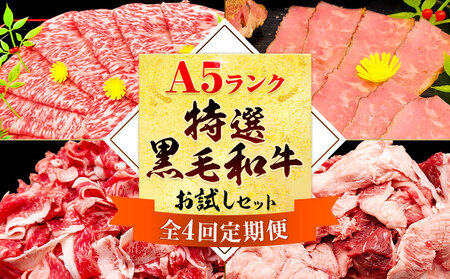 【4ヶ月定期便】A5黒毛和牛 お試し 定期便 合計 3.4kg