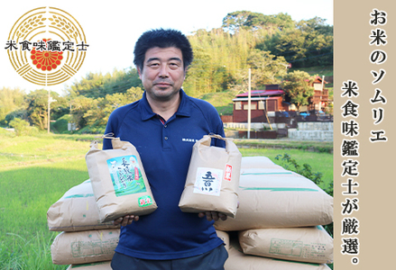 《令和７年産 新米》【米屋新蔵】お米ソムリエ特選 千葉県産『ふさこがね』10kg　[0026-0008]