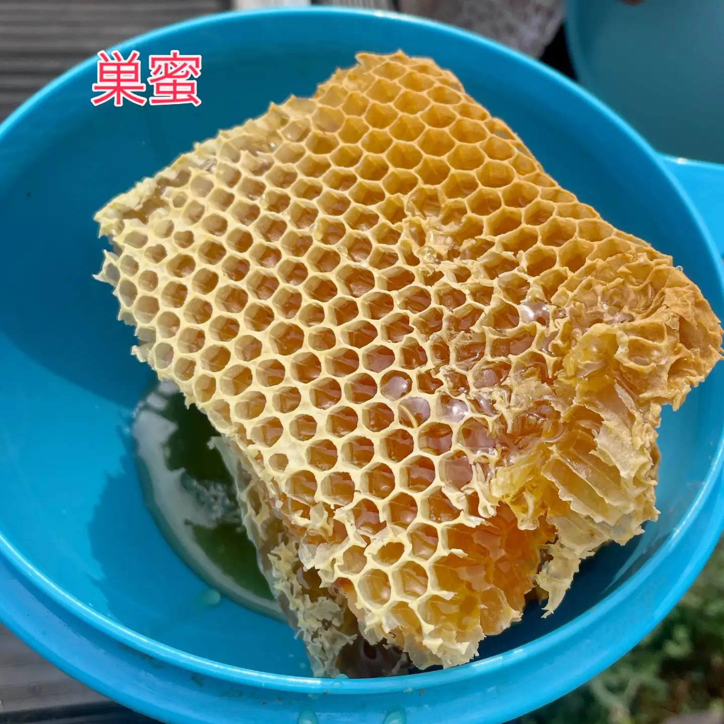 蜂蜜（蜜蜂からの贈りもの）平野部 300g