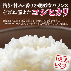 【数量限定】【令和7年産】【３ヵ月定期便】美味追求 茨城県産こしひかり 5kg×3 (NA-2)